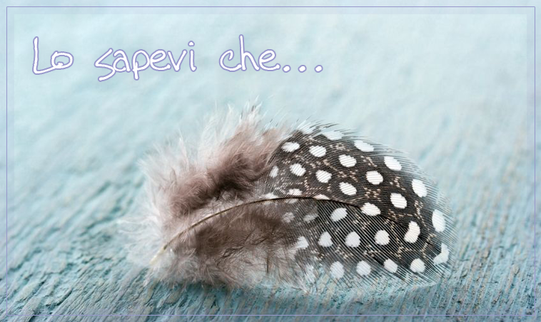 curiosita in ordine alfabetico